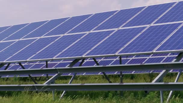 Blue cell solar panels green energy generation on grass at windy day. Eco power from photovoltaic modules generating electricity and foliage. Alternative electricity source on plant field. Solar cell for renewable energy at plants - Footage, Video