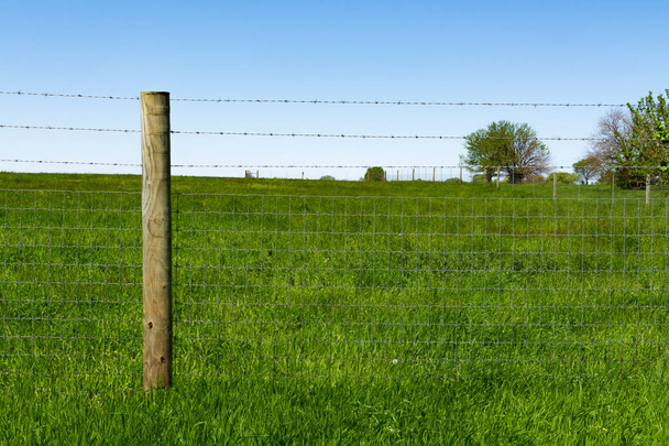 Wooden post and field - Photo, Image