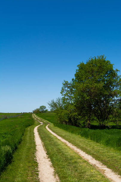 Route à travers la prairie à herbes hautes
 - Photo, image