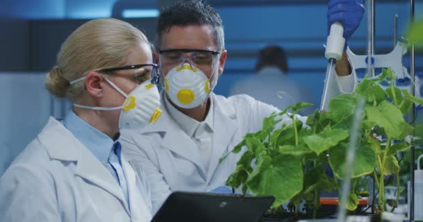 Científicos examinando una planta verde
 - Imágenes, Vídeo