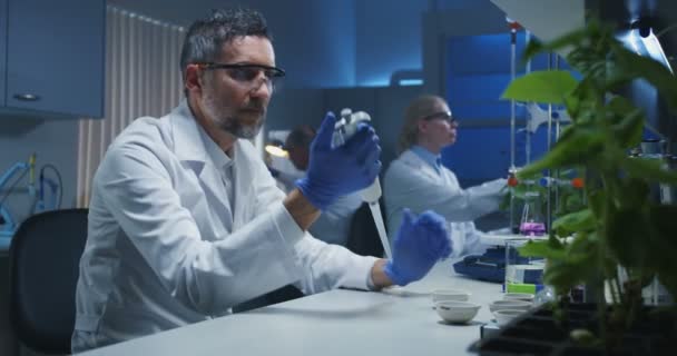 Scientists working in a laboratory - Video, Çekim