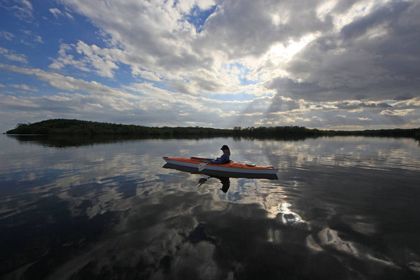 Kayak de mujer en el Parque Nacional de Vizcaya, Florida
. - Foto, Imagen