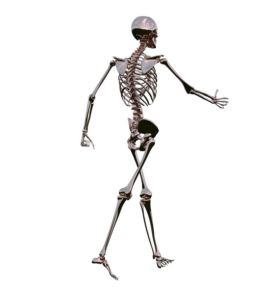 3d renderização ilustração da anatomia óssea esqueleto
 - Foto, Imagem