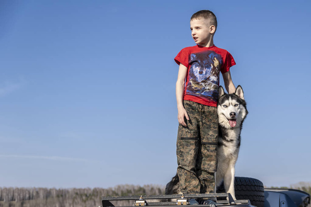 Boy with Siberian husky dog on blue background. Family lifestyle. Walk outside the city. - 写真・画像
