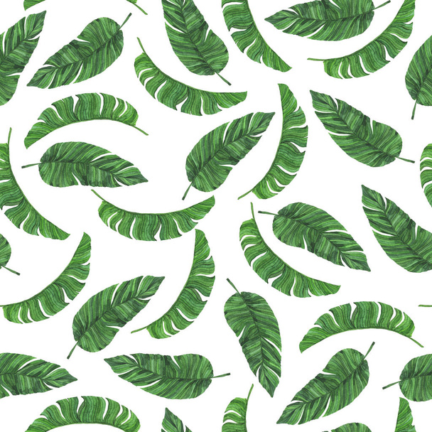 Seamless pattern with tropical green banana leaves on white background. Hand drawn watercolor illustration. - Foto, Imagen