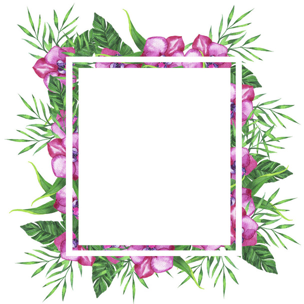 Green tropical leaves and pink orchid flowers frame isolated on white background. Hand drawn watercolor illustration.  - 写真・画像