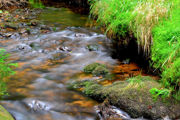 Hegyi patak a Harz nemzeti parkban - Fotó, kép