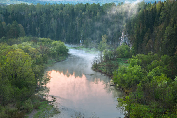 Vue aérienne de la rivière forestière - Photo, image