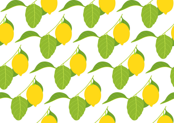 seamless pattern with lemons on white background - Vector, Image