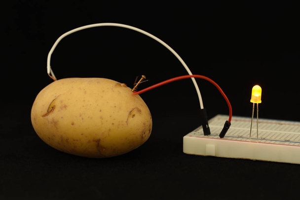 energía alternativa electricidad de la patata
 - Foto, Imagen