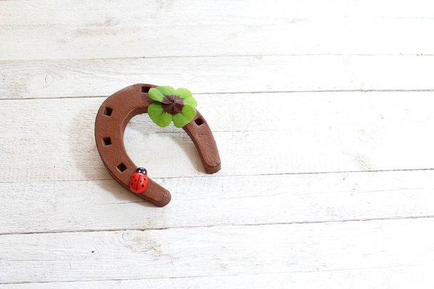 the picture shows a horseshoe and a ladybird - Photo, Image