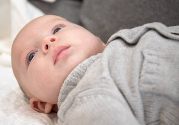 bébé couché avec un pull gris regarde attentivement
 - Photo, image