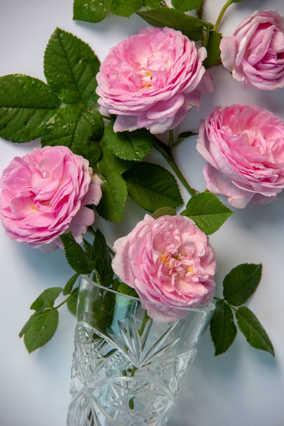 Profumo bouquet di rose di tè rosa, vaso di cristallo si trovano su uno sfondo bianco
. - Foto, immagini