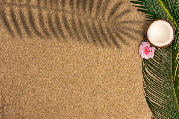  Beach theme on sand background. Palm leaves and coconut on the sand with shadow. Top view. - Фото, зображення