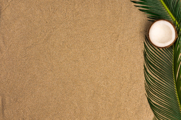 Beach theme on sand background. Palm leaves and coconut on the sand. Top view. - Fotoğraf, Görsel