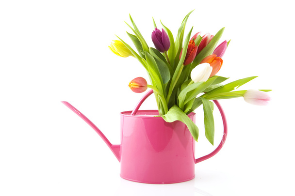 Spring flowers in watering can - Photo, Image