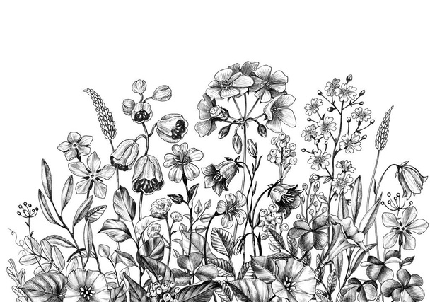Hand Drawn Wild Plants and Flowers - Fotó, kép
