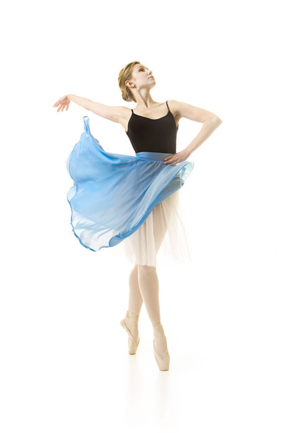 Girl in a blue skirt and a black leotard dance ballet. - Fotoğraf, Görsel