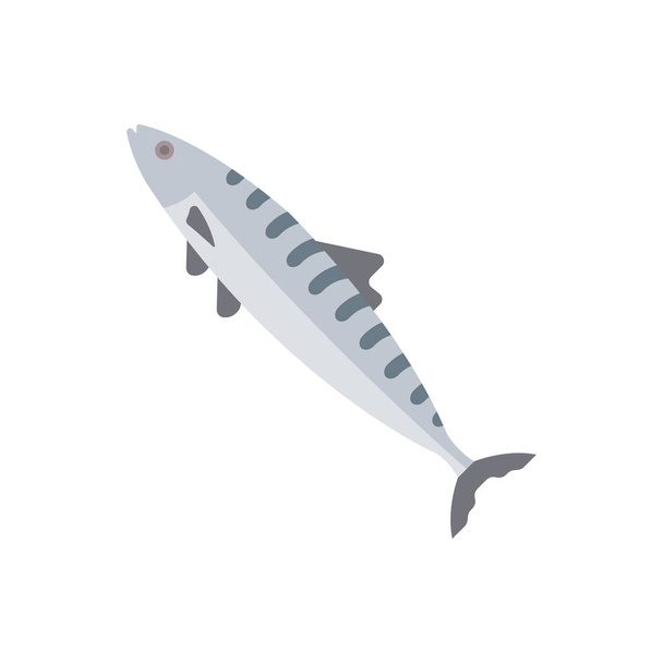 Mackerel Illustration - Vector, Image