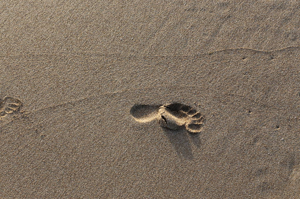 footprints in the sand on the shores of the Mediterranean in northern Israel  - Photo, Image
