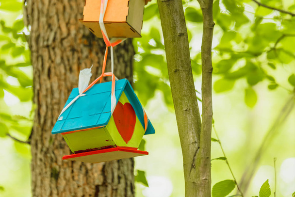 Ręcznie robione drewniane Birdhouse na drzewie  - Zdjęcie, obraz