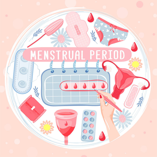 Menstruációs ciklus meg. - Vektor, kép