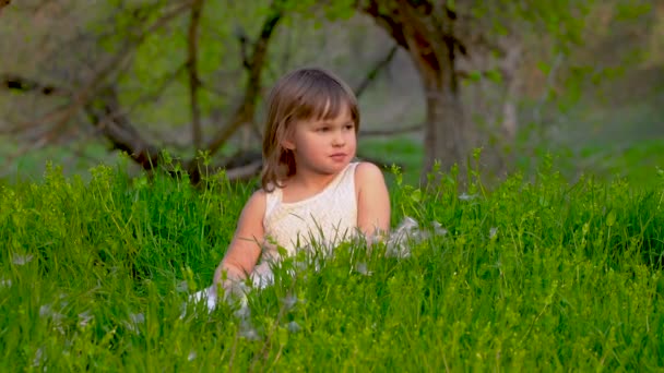 Dziewczyna siedzi na trawie i jedzenie jabłko - Materiał filmowy, wideo