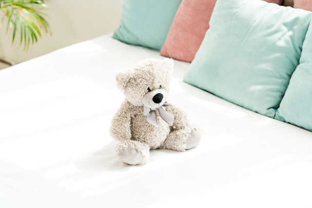 szary Miś w pobliżu różowe i niebieskie poduszki na białej pościeli w sypialni  - Zdjęcie, obraz