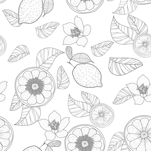 Lemons with leafs - Вектор, зображення