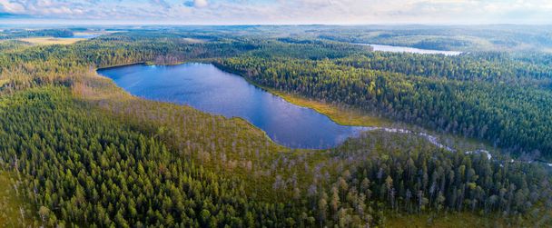 Lasy i jeziora Karelii z góry - Zdjęcie, obraz
