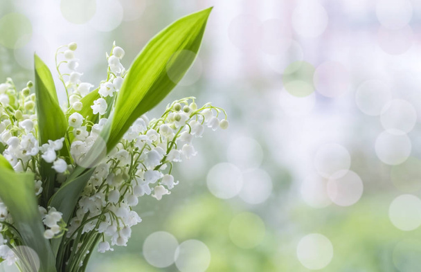 λουλούδια του Μαΐου κρίνα της κοιλάδας σε θολή φόντο με ένα αντίγραφο του χώρου - Φωτογραφία, εικόνα