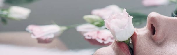 cropped view of woman lying in water and holding rose in mouth - Photo, Image