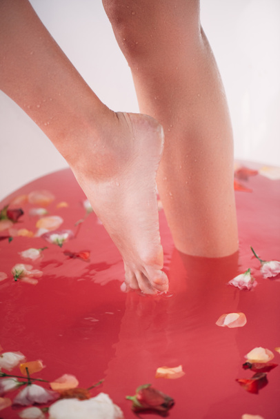 cropped view of barefoot woman standing in white bathtub with pink water and petals - Photo, Image