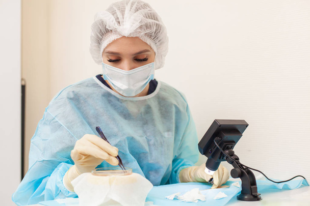 The doctor under the microscope recalculates the hair follicles. Baldness treatment. Hair transplant. Surgeons in the operating room carry out hair transplant surgery. Surgical technique that moves - Photo, Image