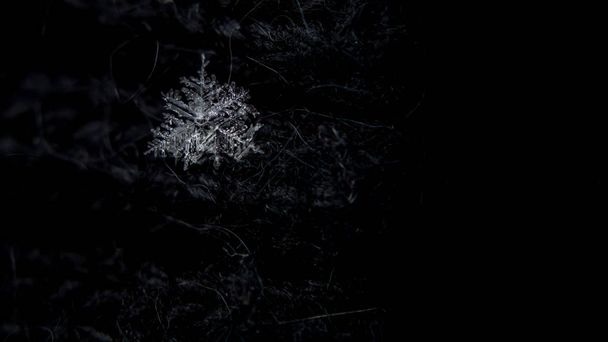 fragment van sneeuw close-up. kristalhelder ijs. Macro foto. winter. oppervlakkige scherptediepte. Kerstachtergrond voor lay-out. Kerstmis thema - Foto, afbeelding