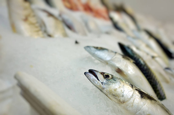 Rybí jídla na trhu s rybami - Fotografie, Obrázek