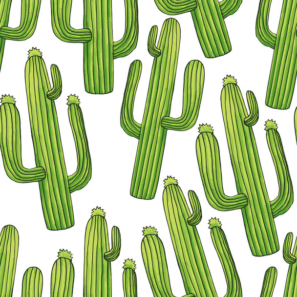 Cactos verdes desenho animado sem costura padrão
 - Vetor, Imagem