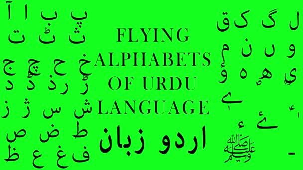 Létající dopisy nebo abecedy v urdštině na zeleném pozadí. Koncepce letů na konci spisů ve skriptech nebo knihách - Záběry, video