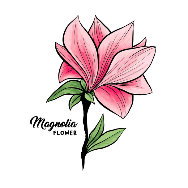 Magnolia flowers hand drawn illustration - Vector, imagen