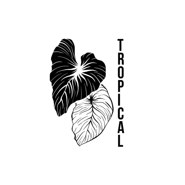 Шаблон логотипа пальмовых листьев
 - Вектор,изображение