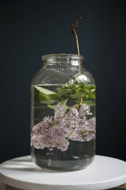 bouquet of lilac twigs in a transparent green jar on the chair opposite of black wall - Φωτογραφία, εικόνα