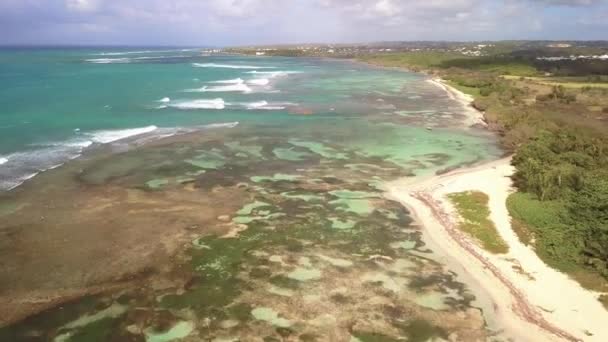 Вид с воздуха на пляж Bois Jolan Beach, Lagoon, Grande-Terre, Guadeloupe, Caribbean
 - Кадры, видео