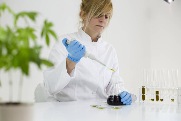 Wissenschaftler bei der Überprüfung eines pharmazeutischen cbd-Öls in einem Labor auf Uhrglas - Foto, Bild