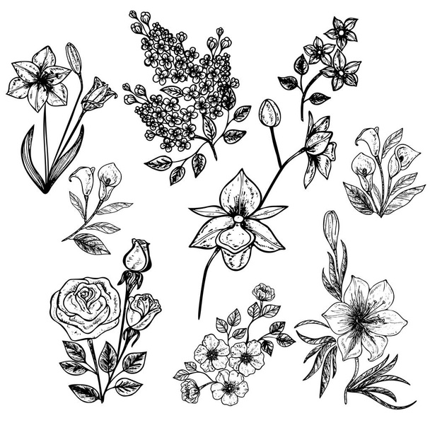 Boeket bloemen geïsoleerd op een witte achtergrond. Vectorillustratie, EPS-10. - Vector, afbeelding
