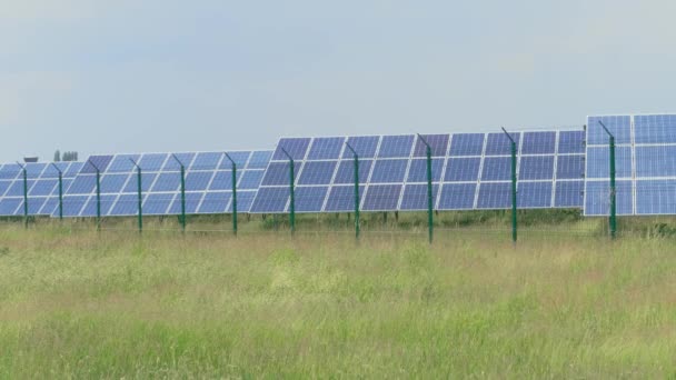 Photovoltaic power station with cell panels generating green energy against grass field at windy day. Solar park. Eco power from PV modules producing electricity and plants. Solar cell for renewable energy. Alternative electricity source on plant - Footage, Video