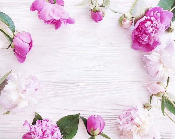 красивый свежий цветок пион на белом деревянном фоне, рамка
 - Фото, изображение