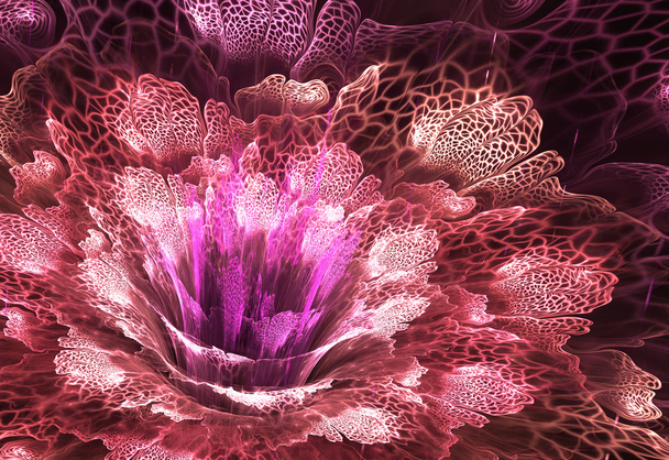 Flor fractal abstrata - Foto, Imagem