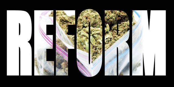 Marihuana reforma - Fotografie, Obrázek