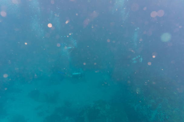 Mergulho atividade de esporte de água
 - Foto, Imagem