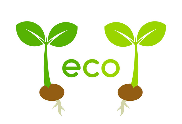 Two eco plant seedlings icons. - Vettoriali, immagini
